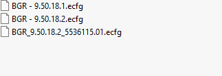 BGR ecfg files
